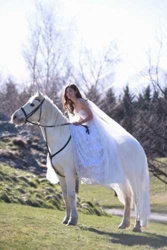 MrWhite Clear MonarchHorses 05 profile image