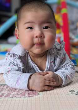 04,Daniel Ooi Family Monarch 24  profile image