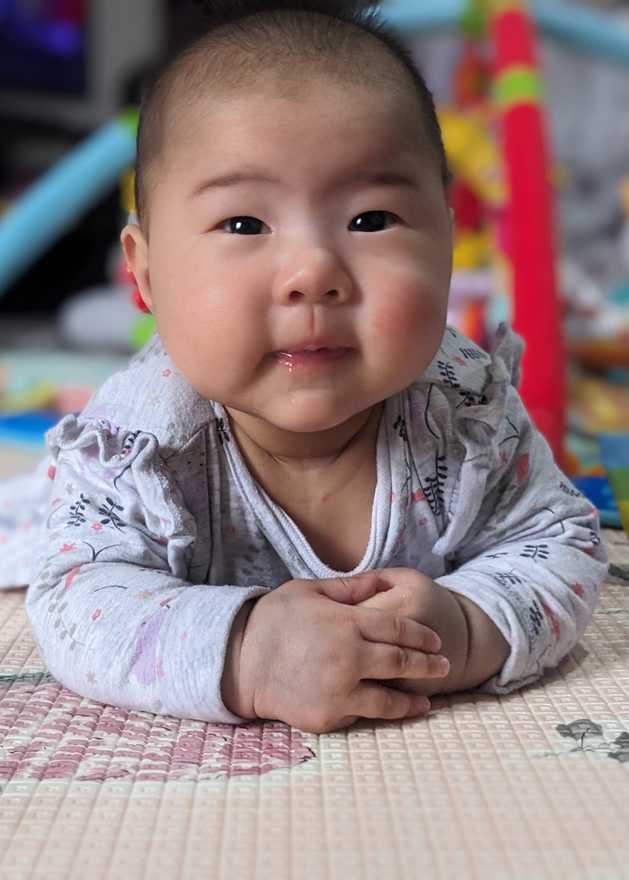 04,Daniel Ooi Family Monarch 24 profile image