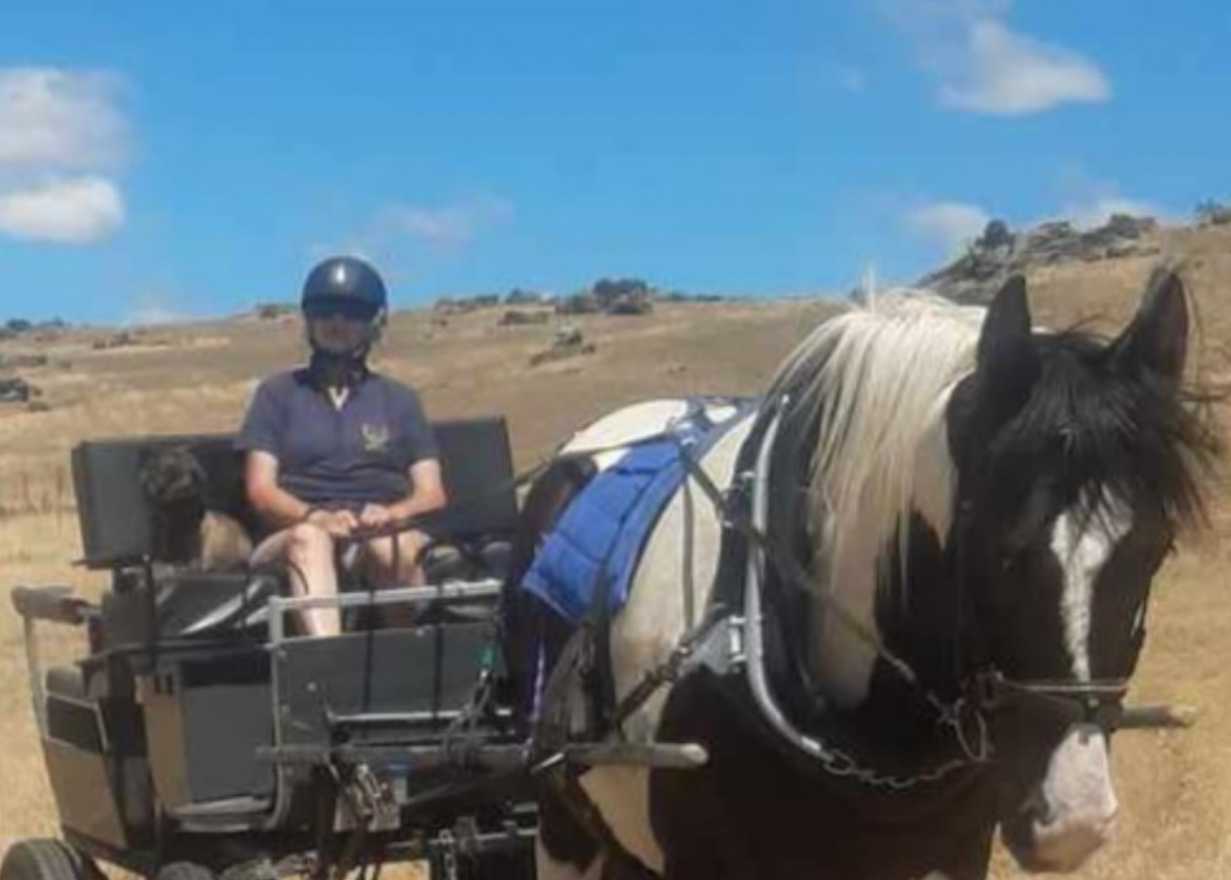 05,Raylene Cathcart Monarch 25 profile image