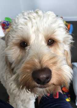 Minti McIlwrick Monarch 03  profile image