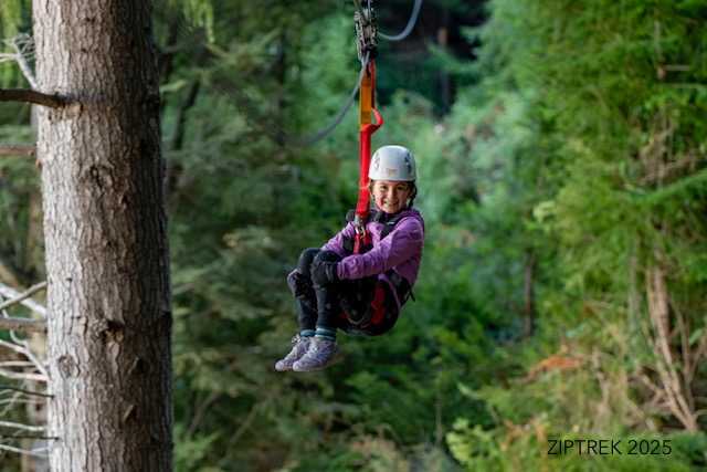 06,Josie Lamb Monarch 25 profile image